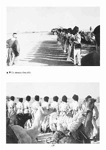 DE PERIGNON A TINDOUF DE CLAUDE MILLE_000141